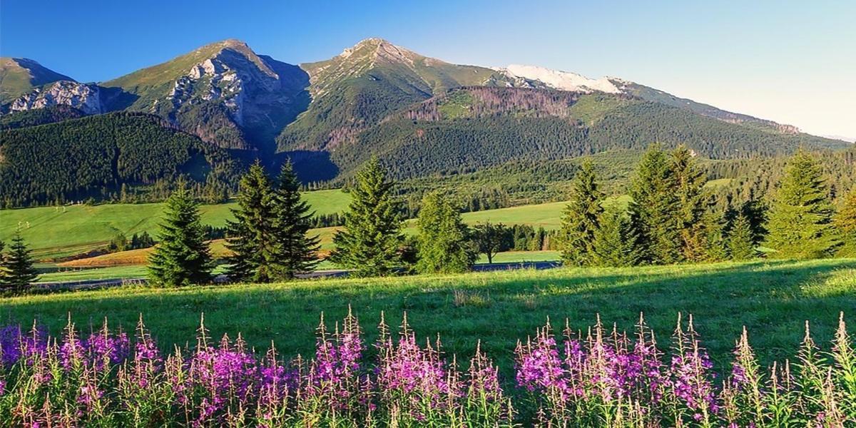Penzion Alex Nová Lesná Buitenkant foto